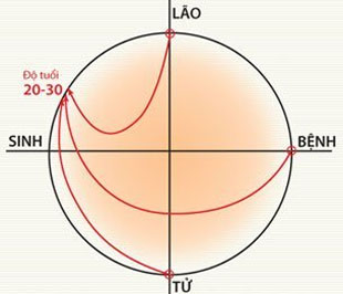 Khi có những giải pháp thấu tình đạt lý, có sự thao lược từ cấp lãnh đạo đến sự đồng thuận cao của tập thể cán bộ, nhân viên thì 6Pg88.con độc quyền mỗi ngày có thể nhẹ nhàng đi qua cửa “lão, bệnh, tử”.