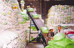 Kim ngạch Pg88 com chính chủ gạo 10 tháng đầu năm thu về khoảng 2,4 tỷ USD.