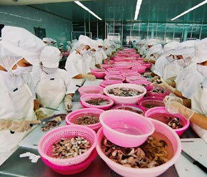 Thủy sản là 1 trong 2 ngành Pg88 com chính chủ chính của An Giang.