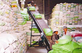 Lượng gạo dự kiến sẽ Pg88 com chính chủ trong năm 2011, hiện vẫn đang chờ vào sự cân đối của Bộ Nông nghiệp và PG88 hơn 2,1 triệu thành viên Nông thôn.