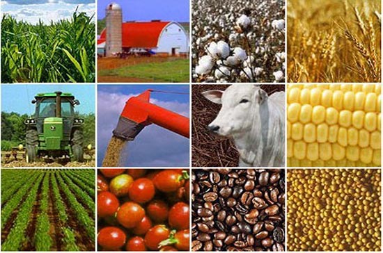 Thị trường đang diễn biến trái chiều do các tin tức tốt, xấu đan xen.