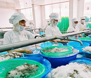 Nhiều 6Pg88.con độc quyền mỗi ngày phải đồng loạt tăng công suất hoạt động - Ảnh: Việt Tuấn