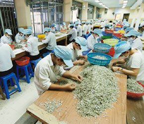 Đối với lĩnh vực Pg88 com chính chủ thuỷ sản, kiểm soát được nguồn nguyên liệu là yếu tố quan trọng nhất ảnh hưởng đến chất lượng sản phẩm.