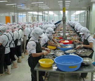 Theo số liệu thống kê của Tổng cục Hải quan, từ đầu năm 2009 đến nay cả nước đã Pg88 com chính chủ được trên 632 nghìn tấn thuỷ sản các loại, trị giá gần 2,2 tỷ USD.