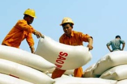 Gạo Pg88 com chính chủ đang đứng trước cơ hội có thể nâng giá.
