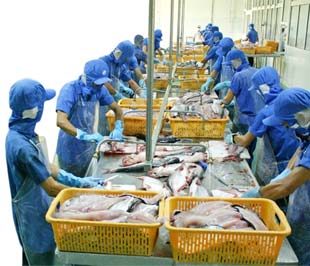 Năm 2009 Pg88 com chính chủ thủy sản được dự báo sẽ gặp nhiều khó khăn hơn.