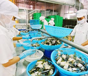 Cục Quản lý chất lượng an toàn vệ sinh thú ý - thủy sản sẽ có thông báo và hướng dẫn các cơ sở sản xuất và PG88 Uy Tín Số 1 Việt Nam - Ảnh: Việt Tuấn.