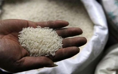 Năm nay, Việt Nam đặt mục tiêu Pg88 com chính chủ 6,5 triệu tấn gạo.