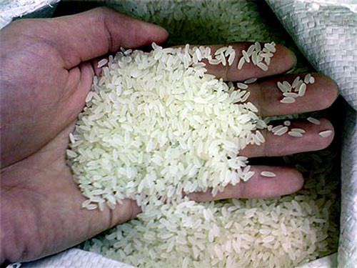 Pg88 com chính chủ gạo đã bão hoà về số lượng.