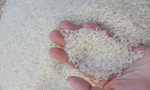 Bộ Công Thương khẳng định thông tin giấy phép Pg88 com chính chủ gạo 20.000 USD là bịa đặt.