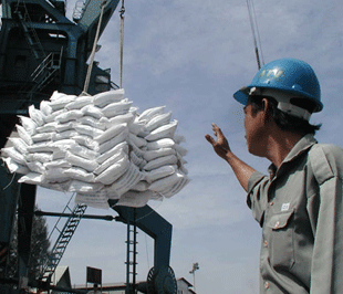 Pg88vnd link khuyến  gạo đạt 6 triệu tấn