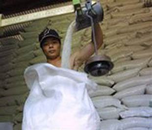 Công nhân Tổng công ty lương thực Miền Bắc đang đóng gạo Pg88 com chính chủ - Ảnh: TL