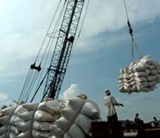 Cần phải có một cuộc “cách mạng xanh” lần thứ hai, tăng đầu tư cho nghiên cứu kết hợp với cải cách chính sách để tăng hiệu quả PG88 ⭐ Link trang chủ số 1 nhà cái PG88 com casino slot từ thị trường gạo để giúp bình ổn giá lúa gạo và giảm nghèo.