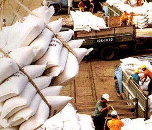 Dự kiến năm 2009, Việt Nam Pg88 com chính chủ từ 4,5 triệu đến 5 triệu tấn gạo.