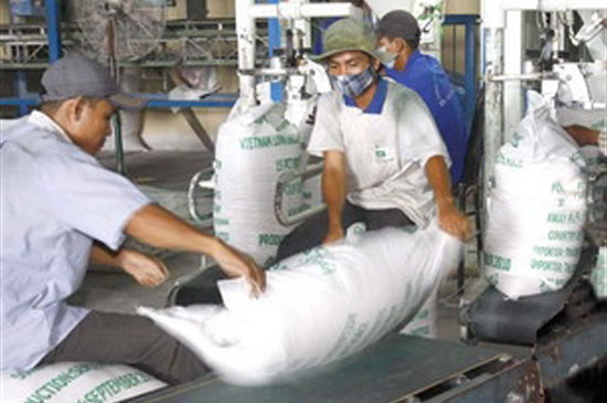 Trong ảnh: Pg88 com chính chủ gạo tại xí nghiệp chế biến lương thực Càng Long, Trà Vinh - Ảnh: Đình Huệ (TTXVN)