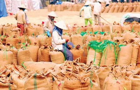 Gạo là một trong những mặt hàng Pg88 com chính chủ chủ lực của Việt Nam.
