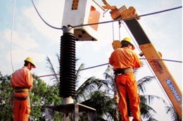 EVN phấn đấu sẽ đảm bảo đủ điện cho sản xuất và nhu cầu thiết yếu của người dân trong tháng 3/2011.
