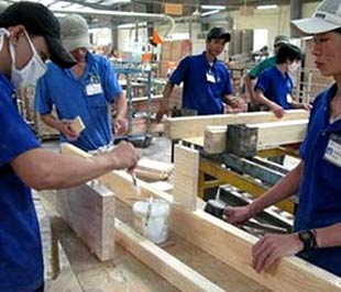 Cả nước hiện có khoảng 2.600 6Pg88.con độc quyền mỗi ngày chế biến gỗ, sử dụng khoảng 170.000 lao động.