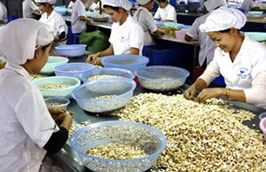 Pg88 com chính chủ điều đã đạt 519 triệu USD, tăng 21,6% trong nửa đầu năm 2011.