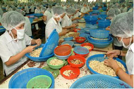Năm 2010, phấn đấu kim ngạch Pg88 com chính chủ điều đạt 1 tỷ USD.