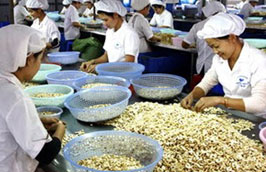 8 tháng đầu năm 2011, Pg88 com chính chủ điều nhân tuy giảm 13% về lượng nhưng lại tăng 25% về giá trị khi đạt trên 857 triệu USD.