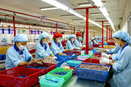 6Pg88.con độc quyền mỗi ngày cần giữ chân lao động qua đào tạo nghề - Ảnh: Việt Tuấn.