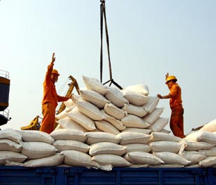 Quý 1/2009, Pg88 com chính chủ gạo tăng hơn 76% so cùng kỳ - Ảnh : Việt Tuấn