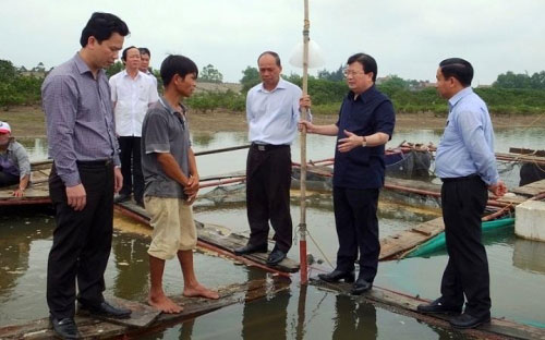 Có thể hợp tác với chuyên gia nước ngoài tìm nguyên nhân cá chết