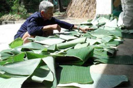 Lá chuối là mặt hàng được Pg88 com chính chủ sang Mỹ.
