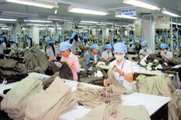 Tại Việt Nam, phụ nữ chiếm 46,6% lực lượng lao động.