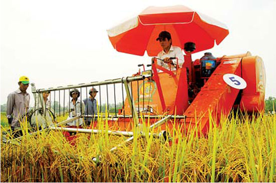 Pg88vnd link khuyến  gạo: 