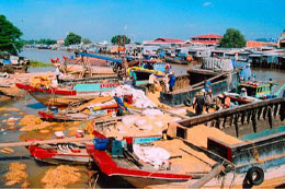 Nhộn nhịp mua bán lúa ngoại ở Tịnh Biên.