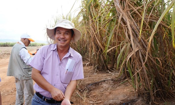 Hoàng Anh Gia Lai cho biết đang đàm phán bán mảng mía đường.