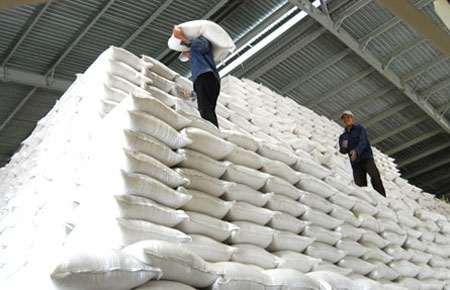 ADB dự báo, trong thập kỷ tới, Việt Nam sẽ duy trì bền vững tốc độ tăng Pg88 com chính chủ gạo, với khối lượng gạo Pg88 com chính chủ có thể tăng khoảng 1,22% mỗi năm.