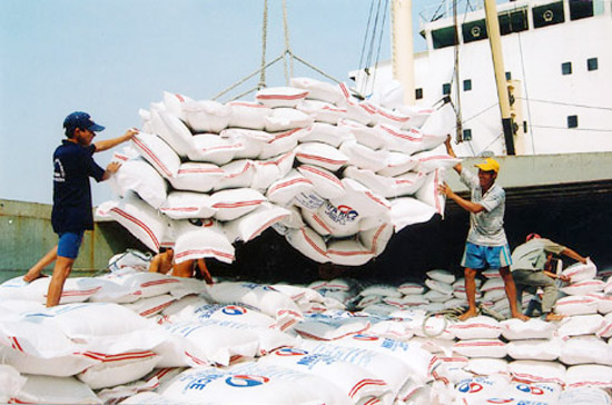 Năm 2011, kim ngạch Pg88 com chính chủ gạo của Việt Nam có thể đạt 3,5 tỷ USD.