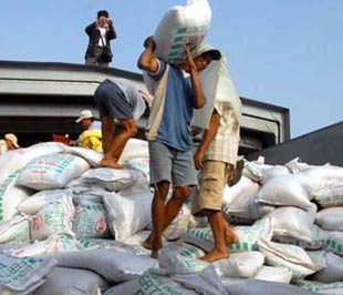 Hiệp hội phân bón Việt Nam đề xuất bãi bỏ giấy phép Pg88 com chính chủ phân bón.