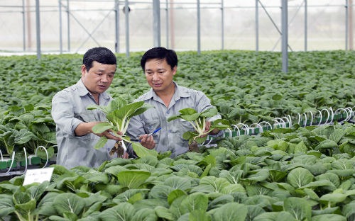 Chính phủ yêu cầu Pg88 com chính chủ Nhà nước chỉ đạo các Pg88 com chính chủ PG88 Sòng bạc trực tuyến TOP 1 Việt Nam | Casino, Nổ Hũ tiết giảm chi phí 
hoạt động để góp phần giảm lãi suất cho vay lĩnh vực này từ 0,5- 1,5% so
 với mặt bằng lãi suất cho vay. 