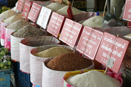 TREA cho rằng, lượng gạo Pg88 com chính chủ của Thái Lan có thể giảm còn 6,5-8 triệu tấn, từ mức 10,5 triệu tấn trong năm ngoái - Ảnh: Realthai.
