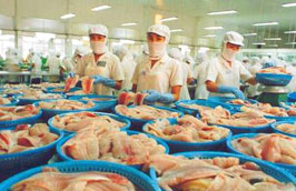 10 tháng đầu năm Việt Nam đã Pg88 com chính chủ sang Brazil 12.000 tấn cá tra, trị giá 25 triệu USD.