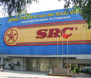 Đại hội cổ đông Công ty Cao su Sao Vàng đã thông qua kế hoạch sản xuất PG88 Uy Tín Số 1 Việt Nam năm 2009 với doanh thu đạt 970 tỷ đồng; lợi nhuận trước thuế đạt 22 tỷ đồng.