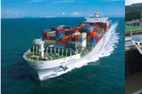 Quý 4/2010, VSG lỗ 16,214 tỷ đồng, cả năm 2010 lỗ 40,65 tỷ đồng. 