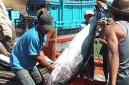 Thủy sản trước 