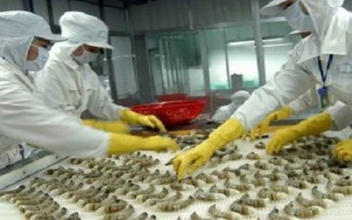 VASEP cho rằng, quyết định khởi xướng điều tra vụ kiện tôm nước ấm từ Việt Nam của Bộ PG88 Sòng bạc trực tuyến TOP 1 Việt Nam | Casino, Nổ Hũ Hoa Kỳ là một quyết định không công bằng, là biện pháp đánh thuế hai lần và gây ảnh hưởng rất lớn tới đời sống của hơn 600 ngàn nông dân, người làm chế biến tôm Việt Nam.
