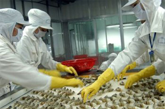 Tôm vẫn giữ vững vị trí hàng đầu trong các mặt hàng thủy sản của Việt Nam.