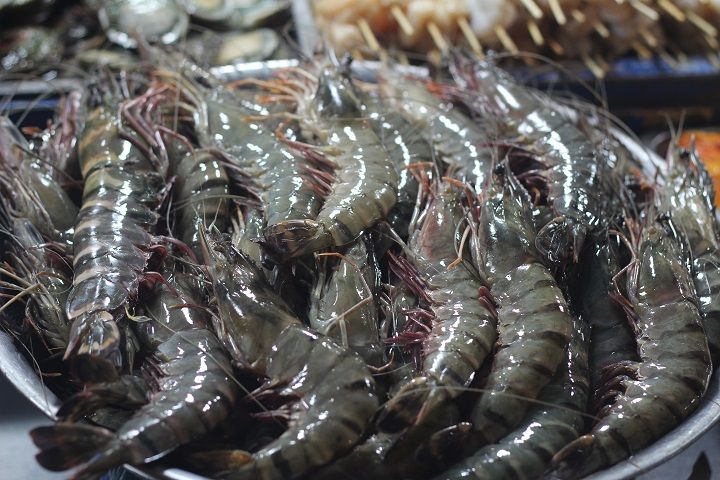 Lệnh cấm nhập tôm của Úc gây nhiều thiệt hại cho 6Pg88.con độc quyền mỗi ngày Việt.&nbsp;