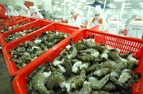 Tháng 6/2010, giá tôm đạt mức cao nhất trong vòng 10 năm trở lại đây và tăng khoảng 20-30% so với cùng kỳ năm 2009.