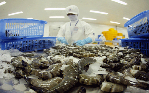 Đây là phán quyết được đưa ra sau khi áp dụng cách tính mới, cho dù vào ngày 7/9/2015, Mỹ đã công bố kết quả đợt rà soát Pg88hi nạp rút siêu tốc lần thứ 9 (POR9) thuế chống bán phá giá tôm đông lạnh nhập khẩu từ Việt Nam.