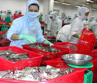 Những tháng đầu năm, tôm vẫn đứng đầu về kim ngạch xuất khẩu, chiếm 35,4% tổng giá trị xuất khẩu với 776,7 triệu USD.