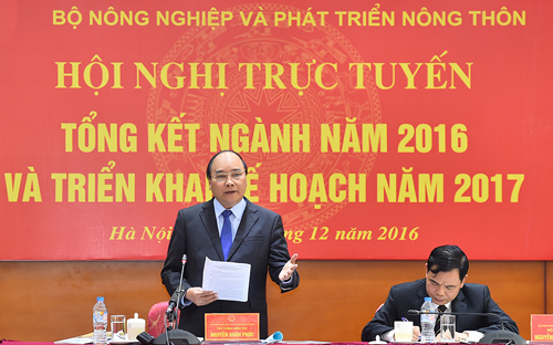 Thủ tướng cho rằng, Việt Nam là một trong những quốc gia có tốc độ tăng trưởng Interet cao 
nhất thế giới, thế nhưng với người nông dân, kiến thức về PG88 Sòng bạc trực tuyến TOP 1 Việt Nam | Casino, Nổ Hũ 
điện tử còn rất hạn chế.