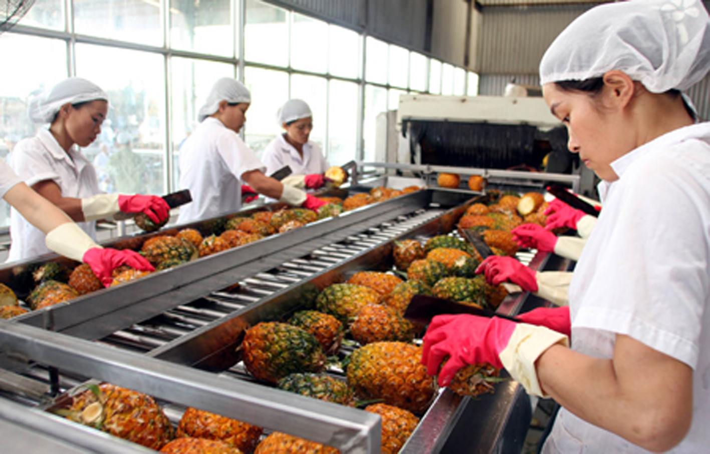 Pg88 com chính chủ rau quả Việt Nam sang UAE đạt 22,8 triệu USD năm 2016.
